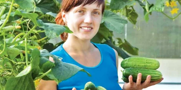 Castraveţi