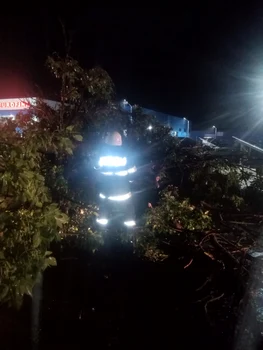 Copaci smulși din rădăcini și doborați de vântul puternic în județul Vâlcea Foto ISU Vâlcea