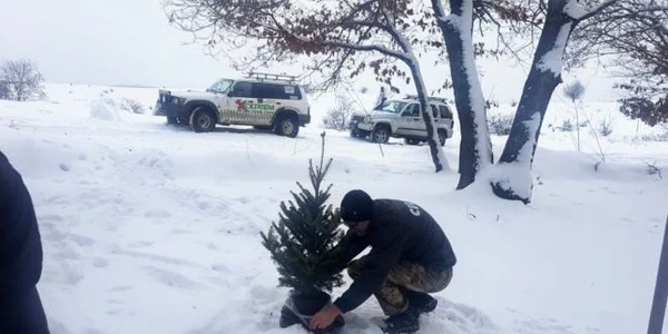 Salvarea brăduţilor de Crăciun FOTO Comunitatea Galaţi4x4
