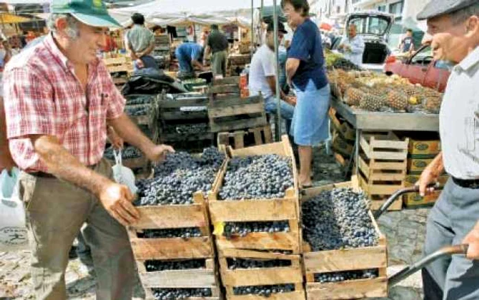 În lipsa banilor, spaniolii recurg la troc p Foto: reuters