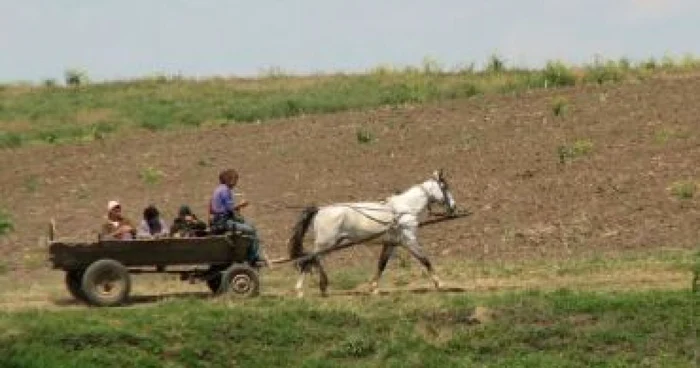 Alba Iulia: Campanie pentru prevenirea furturilor de produse agricole