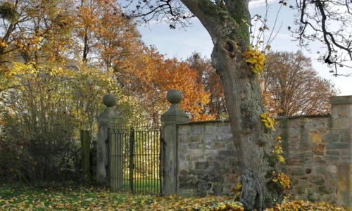 1 83762 original jpg jpeg