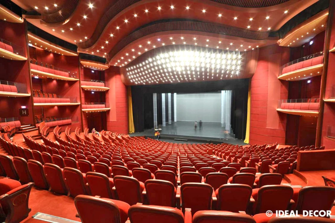 Teatrul Naţional Bucureşti are manager interimar FOTO tnb.ro