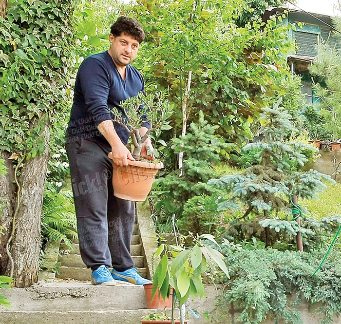 
    Tavi Colen munceşte zilnic câteva ore în grădină (Fotografii: Dan Bistriţeanu)  