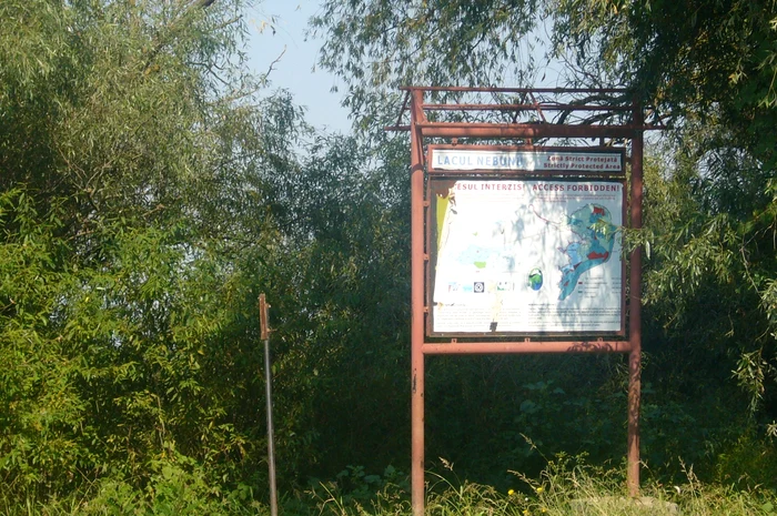 Delta Dunării, sălbăticie la capătul pământului