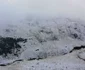 Iarnă