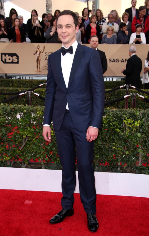 The 22nd Annual Screen Actors Guild Awards, Arrivals, Los Angeles, America   30 Jan 2016 jpeg