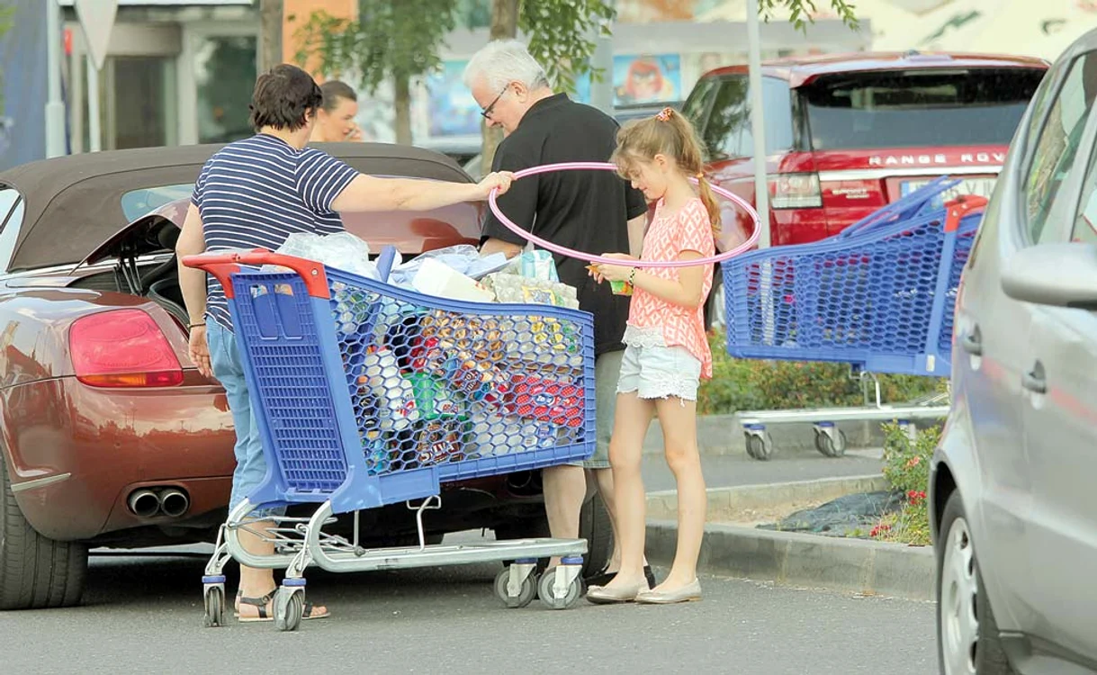 
    După divorțul  de Moni, Irinel  a rămas să aibă  grijă de Irina  