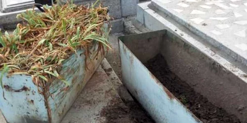 mormant gheorghe dumitrascu