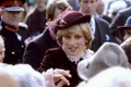 diana199 jpeg