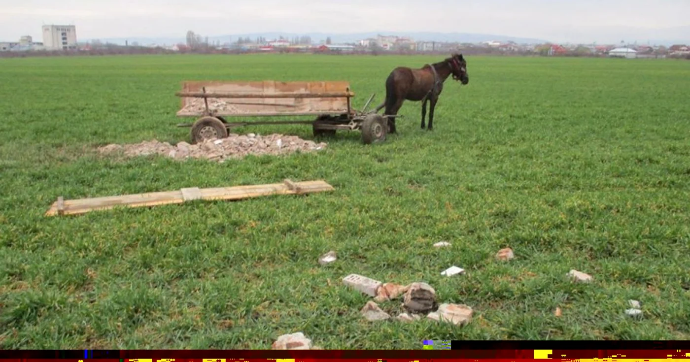 Căruţa a fost descărată pe câmp FOTO: Poliţia Locală Foşani