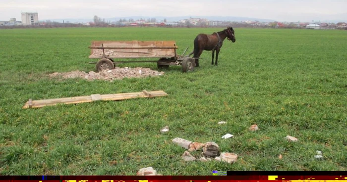 Căruţa a fost descărată pe câmp FOTO: Poliţia Locală Foşani