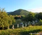 Valea Sibișelului din Huneoara Foto Daniel Guță ADEVĂRUL (3) jpg