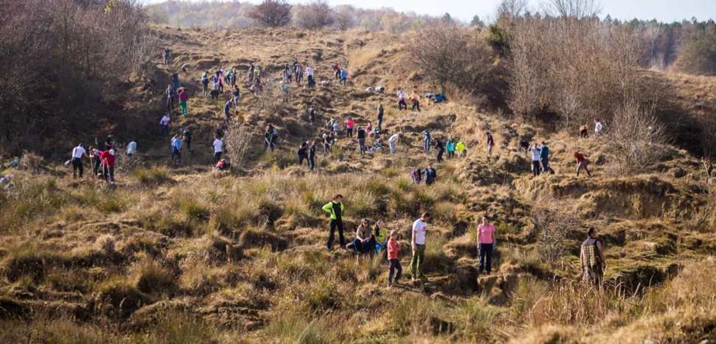 În 2013 iniţiativa „Plantăm fapte bune în România” a primit Înaltul Patronaj al Alteţei Sale Regale Principesa Margareta a României, iar de-a lungul anilor i s-au acordat şase distincţii din partea comunităţii.