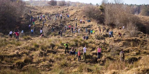 Plantăm fapte bune în România