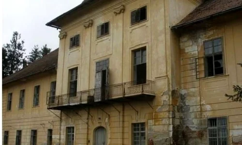 Celălalt Brukenthal – Palatul de la Sâmbăta de Jos, la un pas de dispariţie jpeg