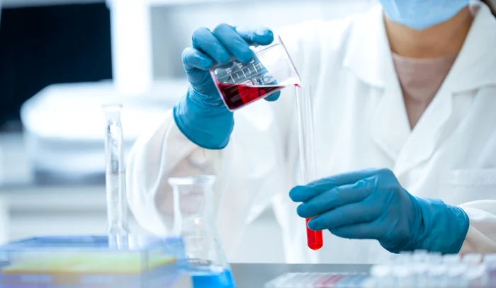 Ce este Serratia, bacteria care poate ucide / foto: Pixabay