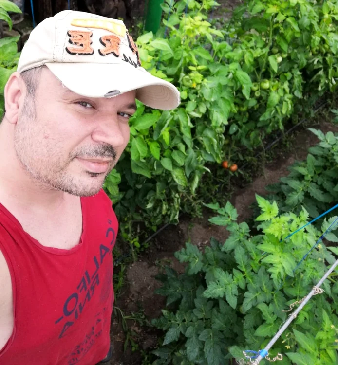 În grădină cultivă toate cele necesare. Are roșii, castraveți, ceapă, dovlecei... toate gustoase și naturale