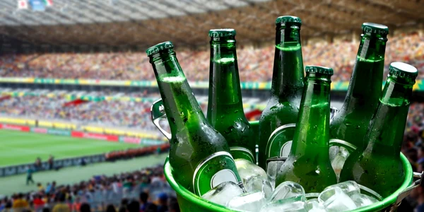 bere stadion FOTO Shutterstock