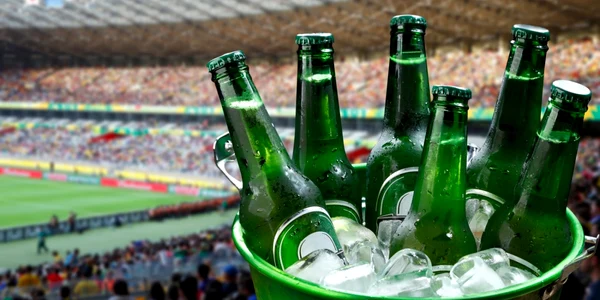 bere stadion FOTO Shutterstock