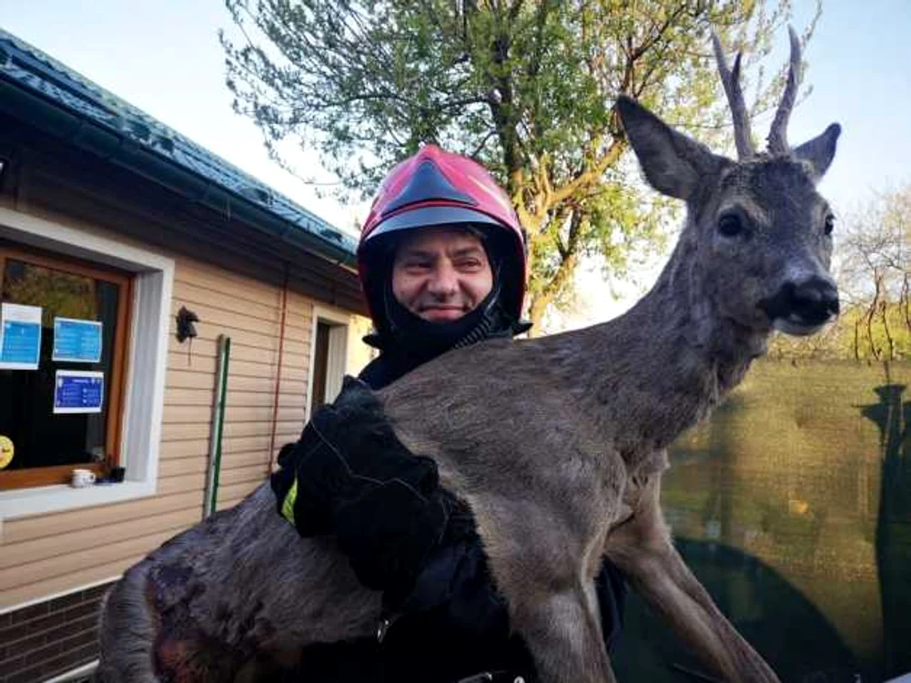 Operaţiunea de salvare a durat aproape o oră FOTO: ISU Argeş