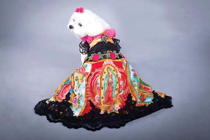 "Cine îmi ridică poalele la toaletă?"