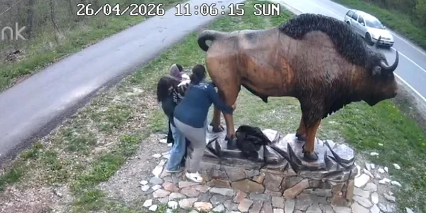 statuie zimbru parcul Vânători-Neamţ captură video