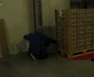 fabrica de prelucrare a laptelui letonia