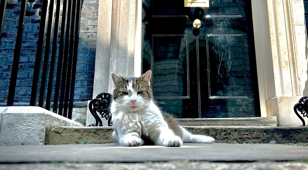Cel mai longeviv „angajat” de la Downing Street: Motanul Larry împlinește 15 ani