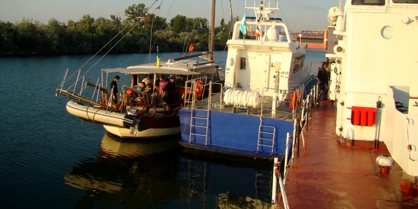 Nava sirieni