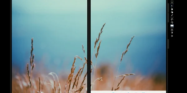Windows 10X foto via Windows Central