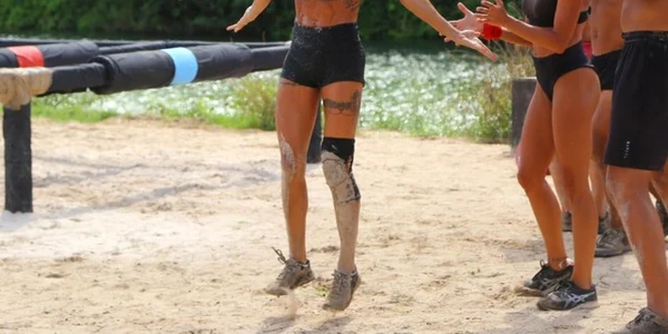 hapciuc survivor 