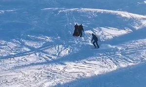 in fusta pe partie captura video jpg