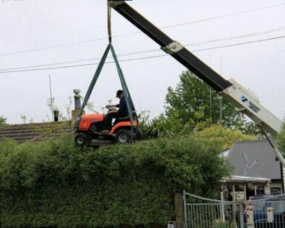 Soluţie pentru momentele în care trebuie să tunzi coroana copacilor