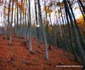 Drumul spre peștera din Valea Rea  Foto Daniel Guță (16) jpg