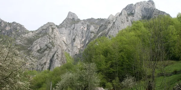 muntele mare-gilau foto