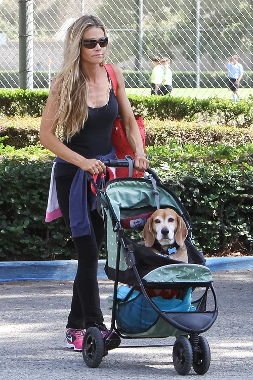 Denise Richards şi căţelul ei iubitFoto Splash
