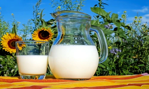 1 75992 original jpg jpeg