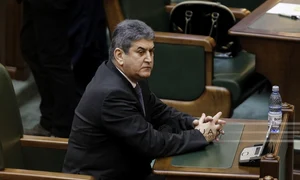 oprea 16 inq octav ganea jpeg