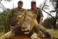 walter palmer cecil jpeg