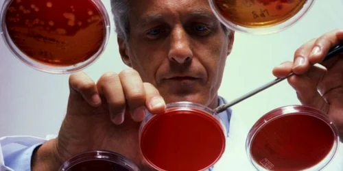 Persoanele care au grupa A sunt mai vulnerabile în faţa bolilor civilizaţiei, cum ar fi diabetul şi afecţiunile cardiace