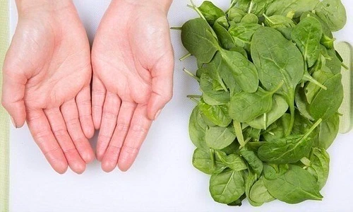 Cum măsori o porţie cu mâna  Palma îţi spune cu exactitate cât ar trebui să mănânci jpeg