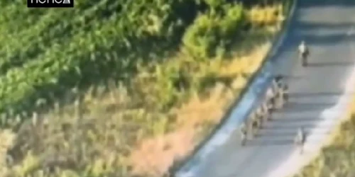 Captură de ecran 2024 08 07 143636 png