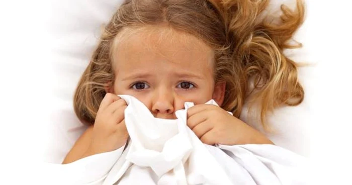 Copiii terorizaţi de fraţii mai mari pot dezvolta depresii si anxietate FOTO Shutterstock