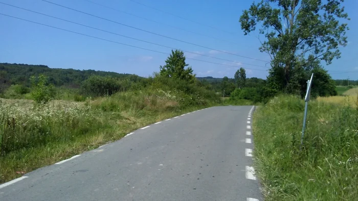 Forţele de ordine îl caută pe bucătarul criminal de la Făget FOTO Ş.Both