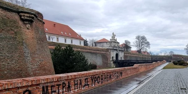 zid cetate alba jpg