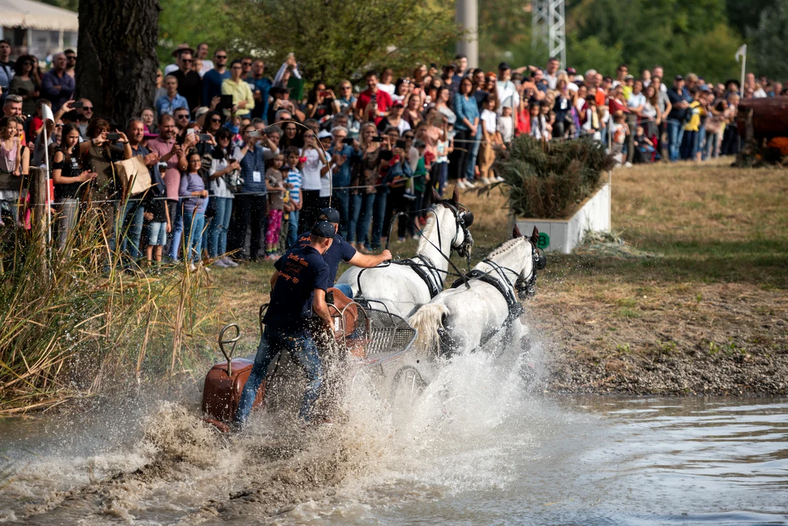 Karpatia Horse Show. Sursa foto: advertorial