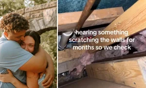 luni intregi un cuplu a auzit zgarieturi in peretii casei iar cand a decis sa faca verificari a fost gasit un musafir nepoftit 1045849 jpg