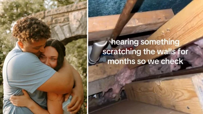 Maddie Neale şi logodnicul ei au găsit un raton care se plimba prin pereţii casei în care locuiesc 