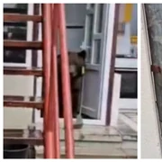Urs în casă în Bușteni FOTO Captură video 